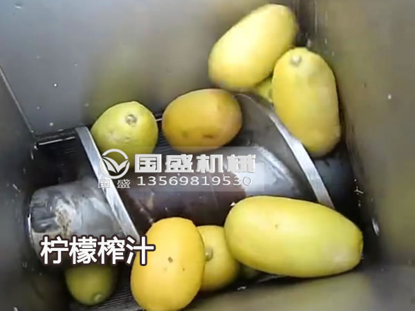 国盛新款大型柠檬榨汁机